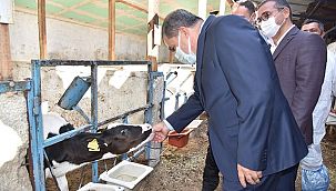 Vali Işık mısır hasadı ve aşı uygulaması etkinliğine katıldı