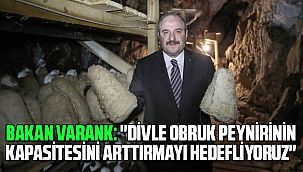 Bakan Varank: 