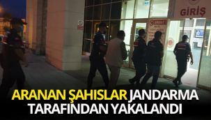 Aranan şahıslar jandarma tarafından yakalandı