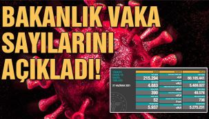Bakanlık vaka sayılarını açıkladı!