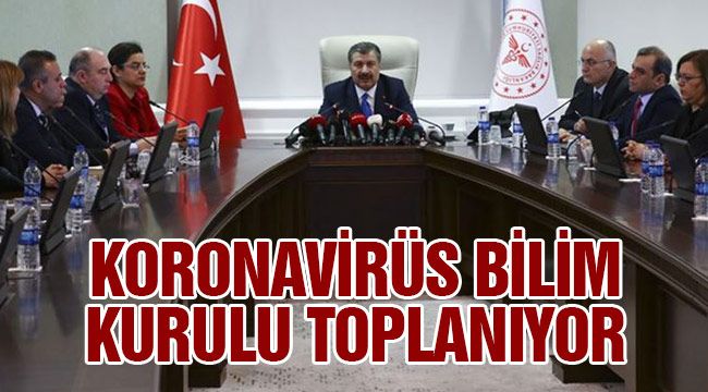 Bilim Kurulu video konferans yöntemiyle toplanacak