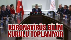 Bilim Kurulu video konferans yöntemiyle toplanacak