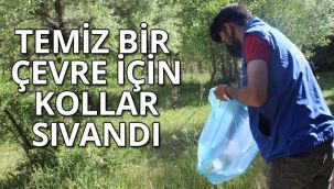 Gönüllüler, farkındalık oluşturmak için kolları sıvadı 