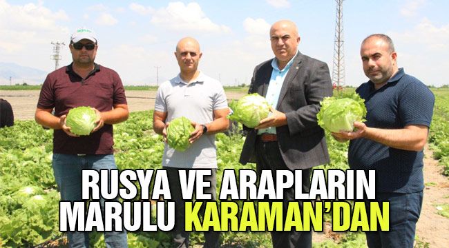 Rusya ve Arapların marulu Karaman'dan 
