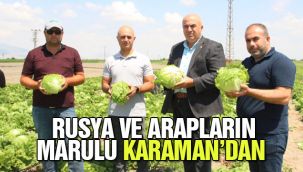 Rusya ve Arapların marulu Karaman'dan 