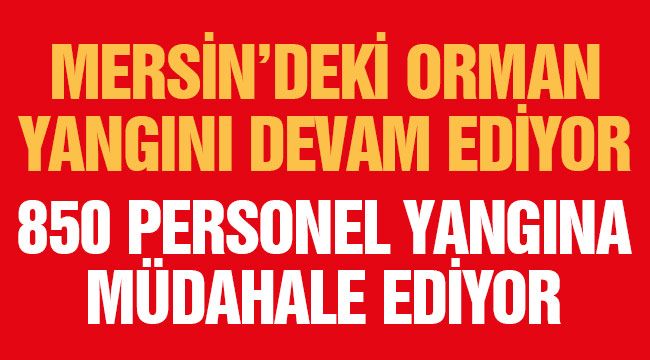 50 ev boşaltılırken, orman yangını devam ediyor