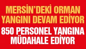 50 ev boşaltılırken, orman yangını devam ediyor