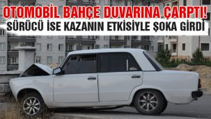 Bahçe duvarına çarpan otomobildeki 6 kişi yaralandı