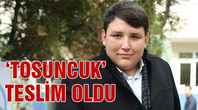 Çiftlik Bank'ın kurucusu 'Tosuncuk' teslim oldu