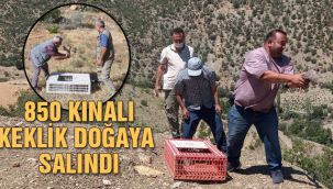 Doğaya tek tek salındılar 