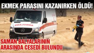 Ekmek parasını kazanırken öldü 