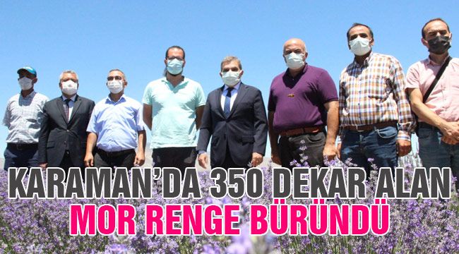 Karaman'da 350 dekar alan mor renge büründü