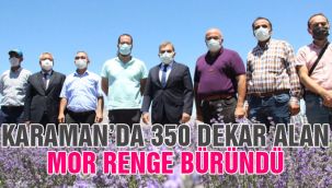 Karaman'da 350 dekar alan mor renge büründü