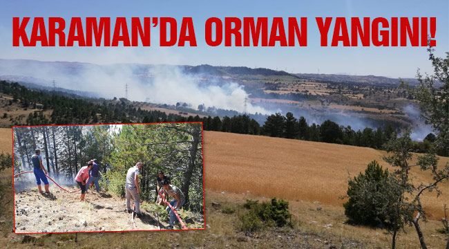Karaman'da Orman Yangını Çıktı