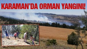Karaman'da Orman Yangını Çıktı