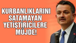 Kurbanlıklarını satamayan yetiştiricilere müjde!