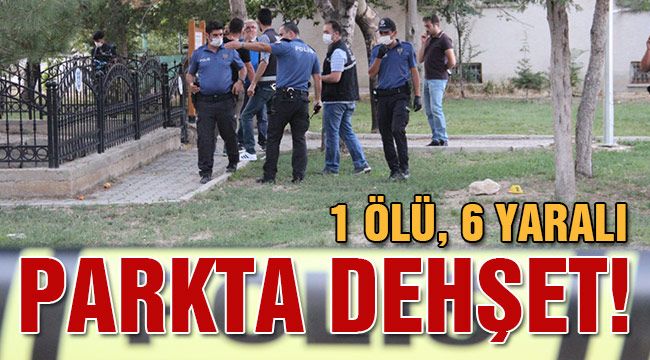 Parkta dehşet! 1 ölü, 6 yaralı 