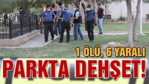 Parkta dehşet! 1 ölü, 6 yaralı 