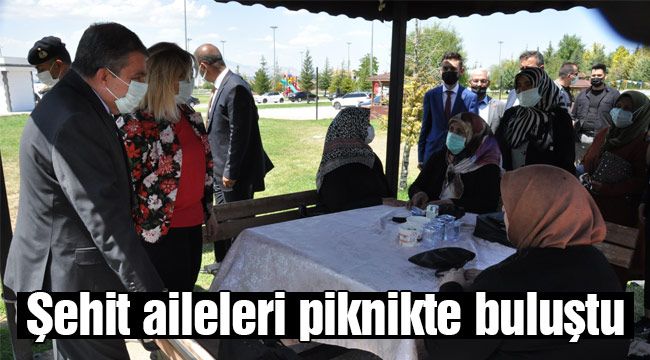 Şehit aileleri piknikte buluştu 