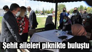 Şehit aileleri piknikte buluştu 