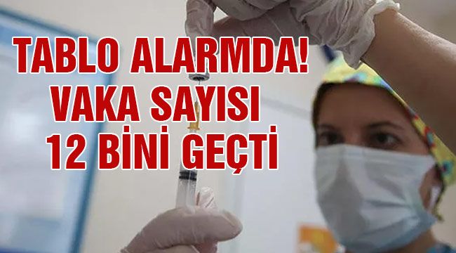 Tablo alarmda! Vaka sayısı 12 bini geçti