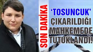 'Tosuncuk' lakaplı Mehmet Aydın tutuklandı