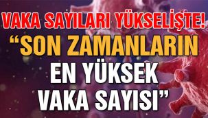 Vaka sayıları yükselişte!