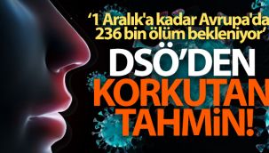 DSÖ Avrupa: 'Tahminlere göre 1 Aralık'a kadar Avrupa'da 236 bin ölüm bekleniyor'
