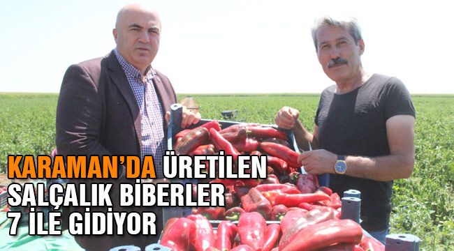 Karaman'da üretilen salçalık biberler 7 ile gidiyor 