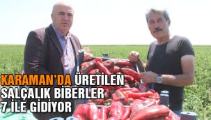 Karaman'da üretilen salçalık biberler 7 ile gidiyor 