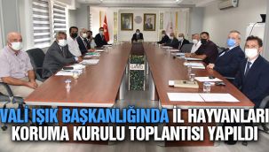 Vali Işık başkanlığında İl Hayvanları Koruma Kurulu toplantısı yapıldı