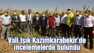 Vali Işık Kazımkarabekir'de incelemelerde bulundu