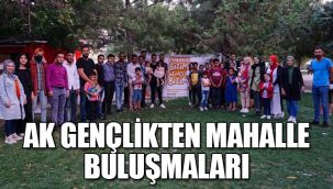 AK gençlikten mahalle buluşmaları