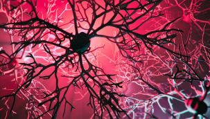 Alzheimer uyarısı korkuttu: 2050'de Türkiye 4'üncü sırada olacak