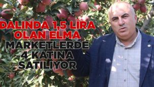 Dalında 1,5 lira olan elma marketlerde 4 katına satılıyor