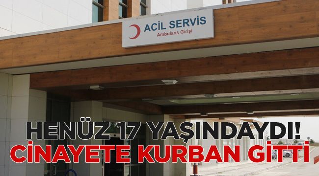 Henüz 17 yaşındaydı! Cinayete kurban gitti 