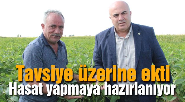 Tavsiye üzerine ekti, hasat yapmaya hazırlanıyor