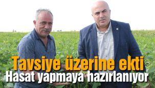 Tavsiye üzerine ekti, hasat yapmaya hazırlanıyor