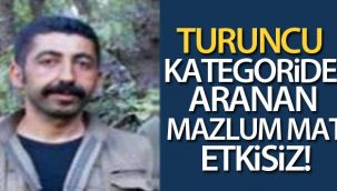 Turuncu kategoride aranan Mazlum Mat etkisiz hale getirildi