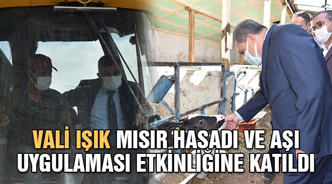 Vali Işık mısır hasadı ve aşı uygulaması etkinliğine katıldı