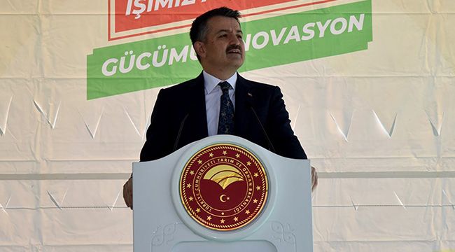 Bakan Pakdemirli, Karaman'da traktör kullanıp elma hasadı yaptı