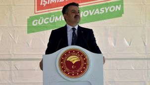 Bakan Pakdemirli, Karaman'da traktör kullanıp elma hasadı yaptı