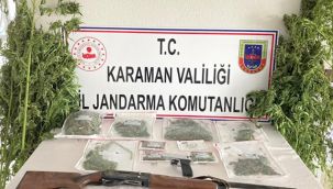 Jandarmadan zehir tacirlerine operasyon