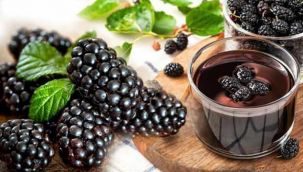 Karadut özünün faydaları nelerdir? Karadut özü hangi hastalıklara iyi gelir?