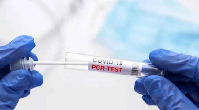 Okullarda PCR testi başladı! 81 ile yayılacak