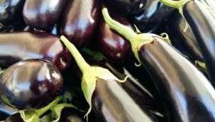 Patlıcan sapının bilinmeyen faydaları