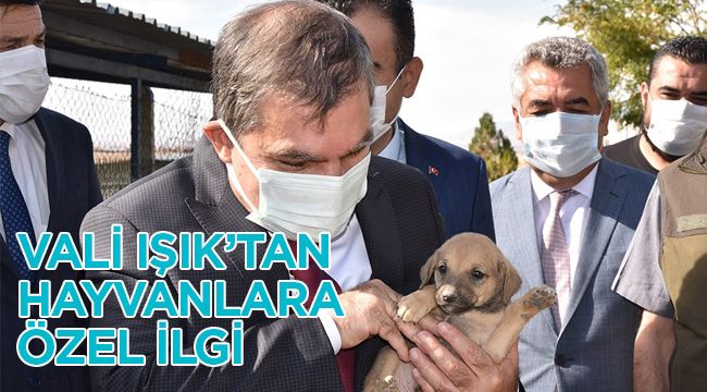 Vali Işık'tan hayvanlara özel ilgi