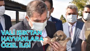Vali Işık'tan hayvanlara özel ilgi
