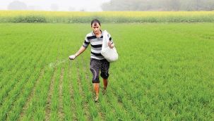 Gübre desteğinde yüzde 100'lük artış