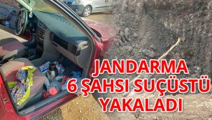 Jandarma 6 şahsı suçüstü yakaladı